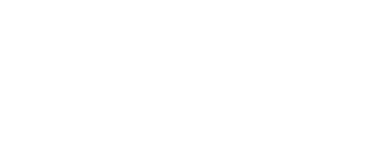logo garage du vernay blanc